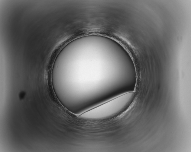 X0000094931309200711290953