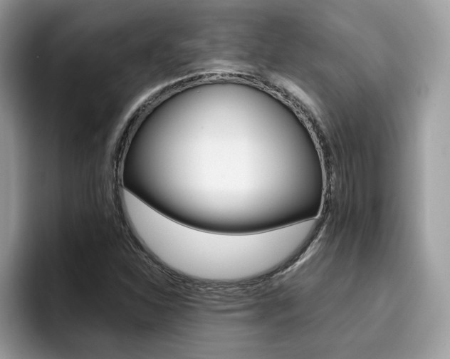 X0000094931310200711290953