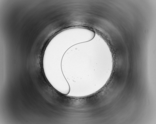 X0000094931314200711290953