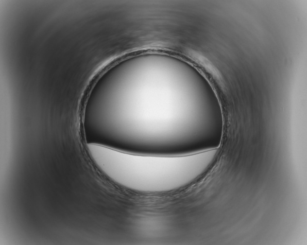 X0000094931316200711290953