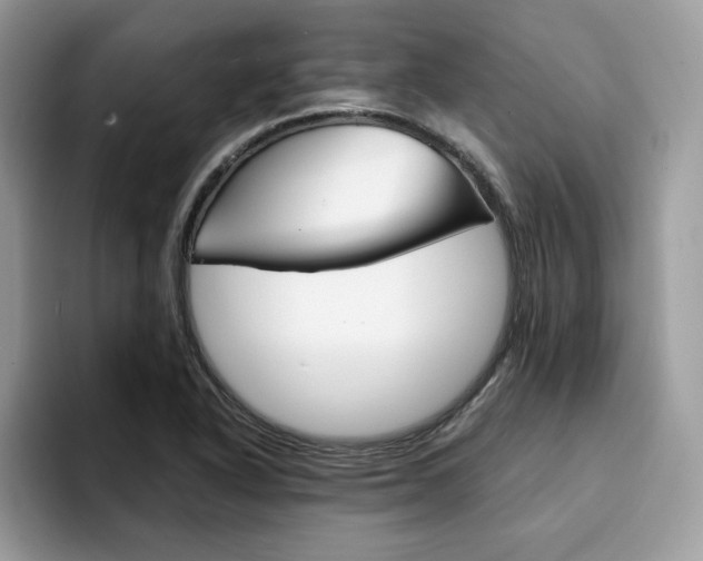 X0000094931318200711290953