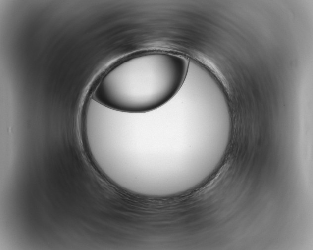 X0000094931323200711290953