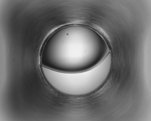 X0000094931324200711290953