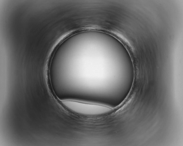 X0000094931325200711290953