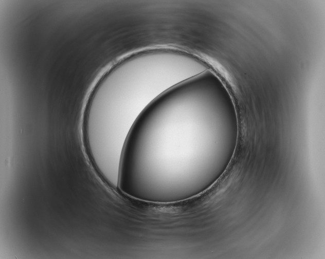 X0000094931327200711290953