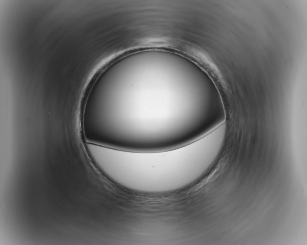 X0000094931328200711290953