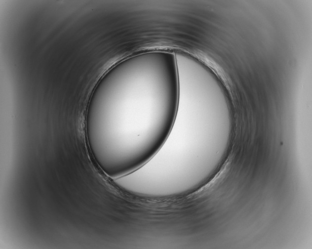 X0000094931329200711290953
