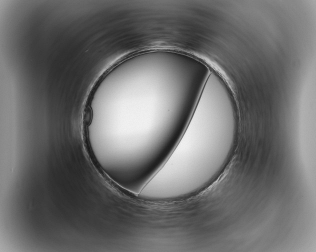 X0000094931333200711290953