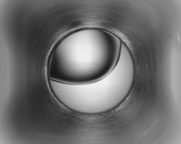 X0000094931334200711290953