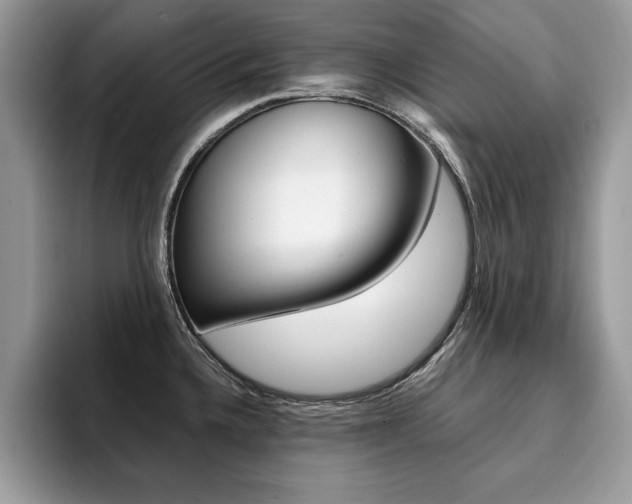 X0000094931336200711290953