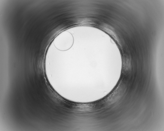 X0000094931338200711290953