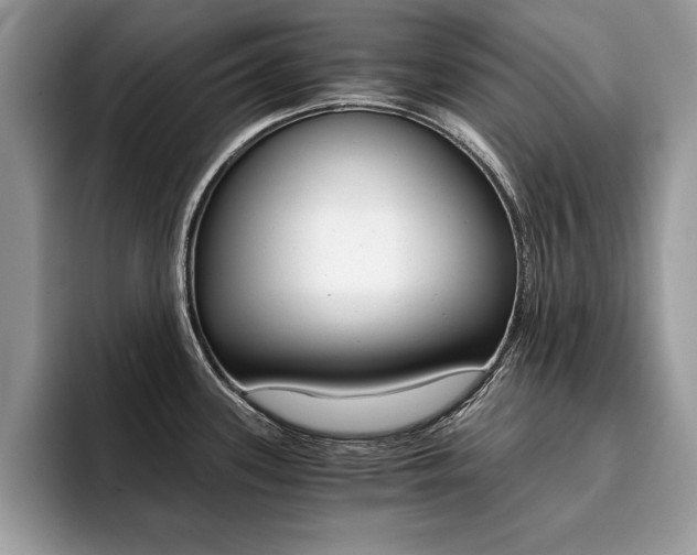 X0000094931339200711290953