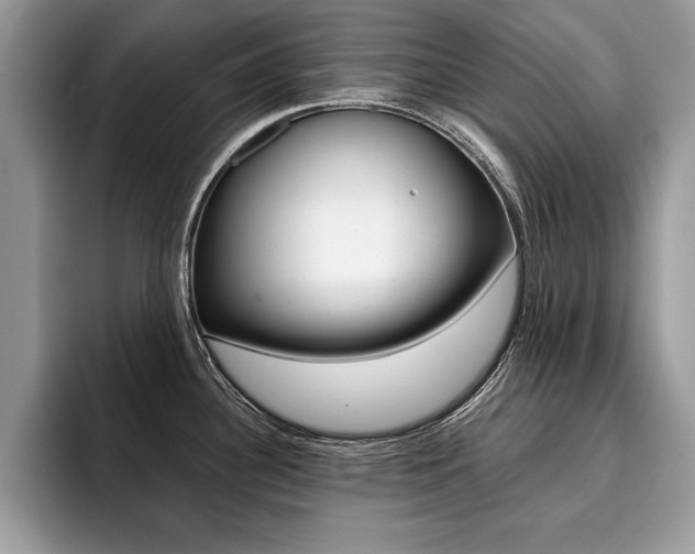 X0000094931340200711290953