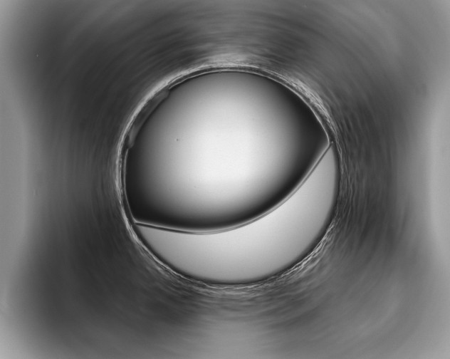 X0000094931342200711290953