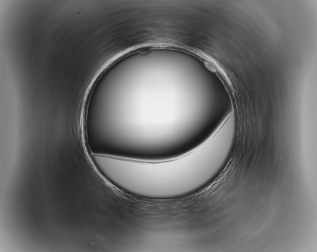 X0000094931343200711290953
