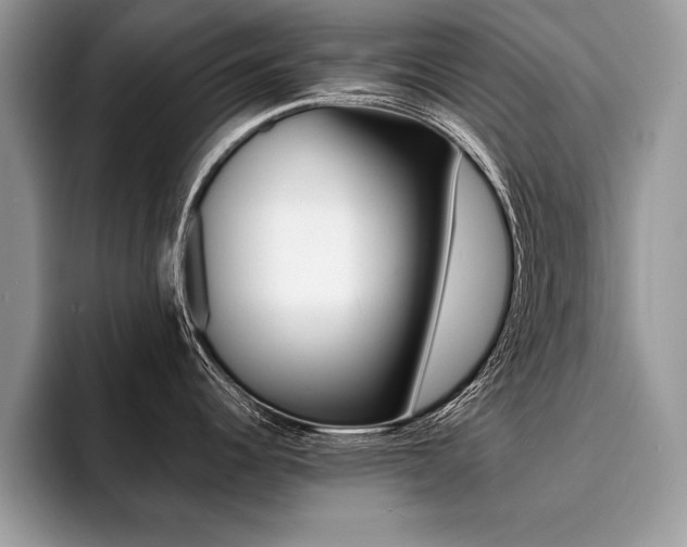 X0000094931344200711290953
