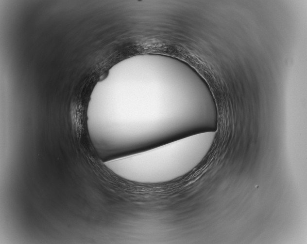 X0000094931346200711290953