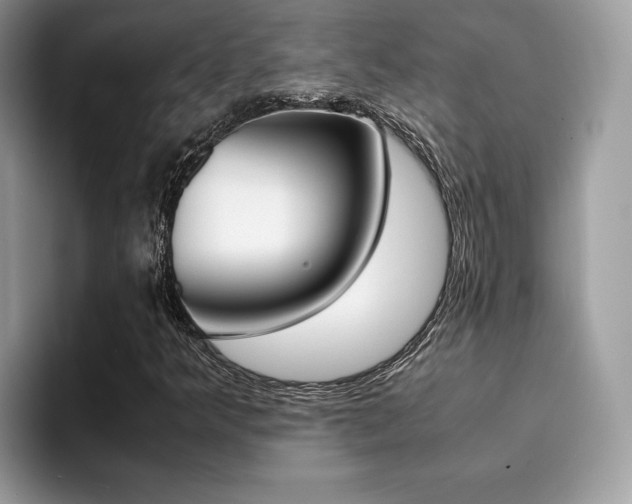 X0000094931349200711290953