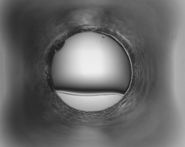 X0000094931351200711290953