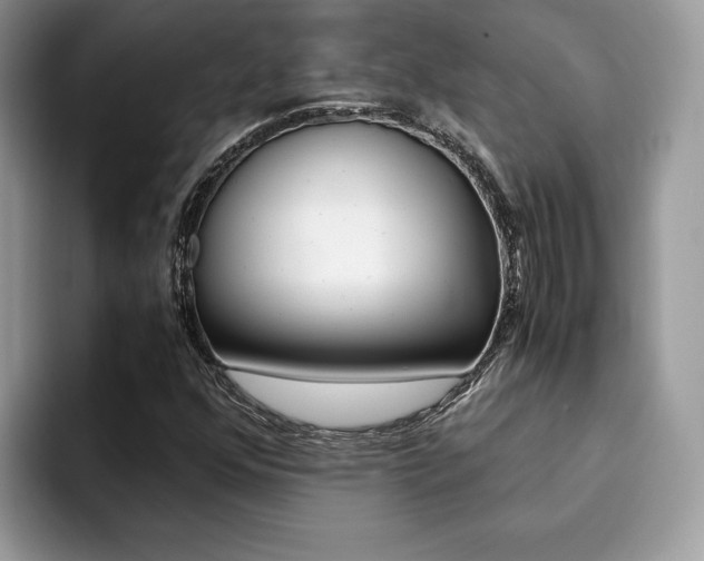 X0000094931352200711290953