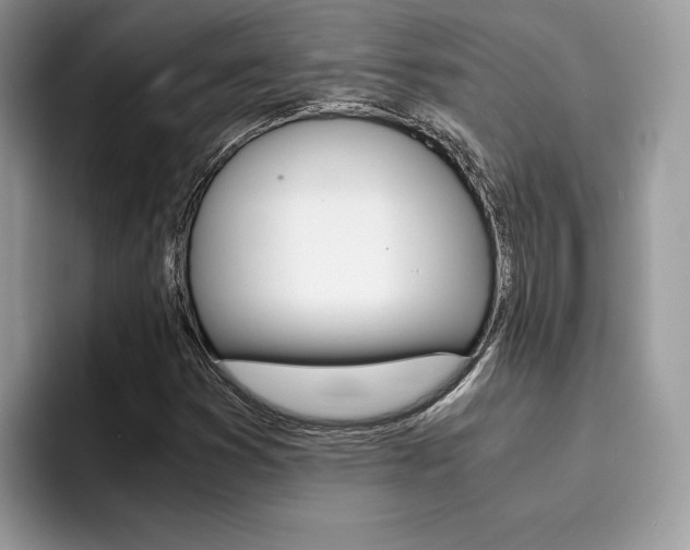X0000094931353200711290953
