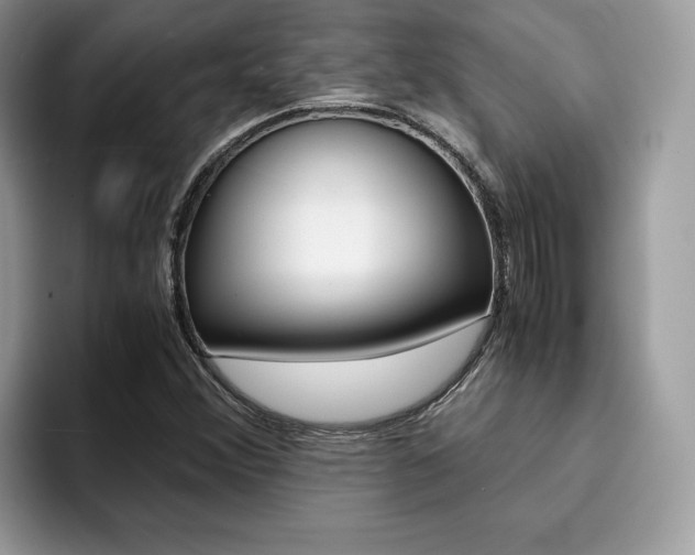 X0000094931356200711290953