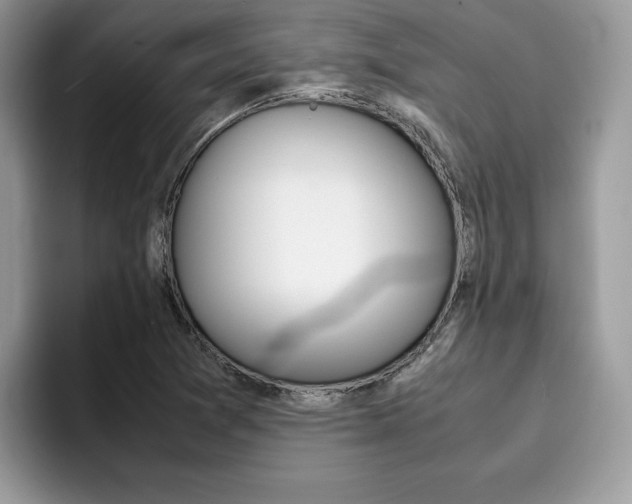 X0000094931361200711290952