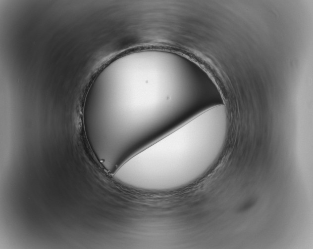 X0000094931363200711290952