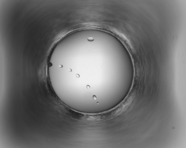 X0000094931365200711290952
