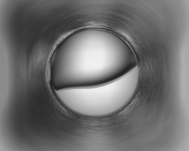 X0000094931371200711290952