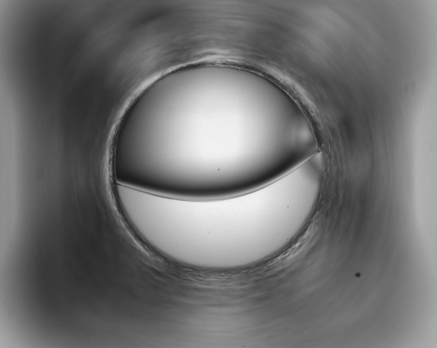 X0000094931375200711290952