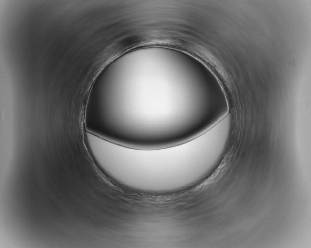 X0000094931377200711290952