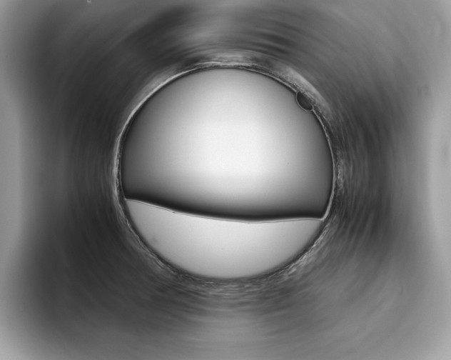 X0000094931378200711290952