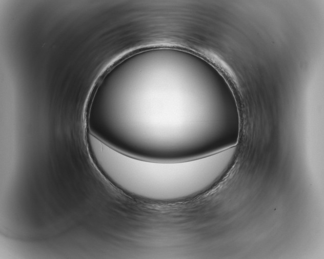 X0000094931380200711290952