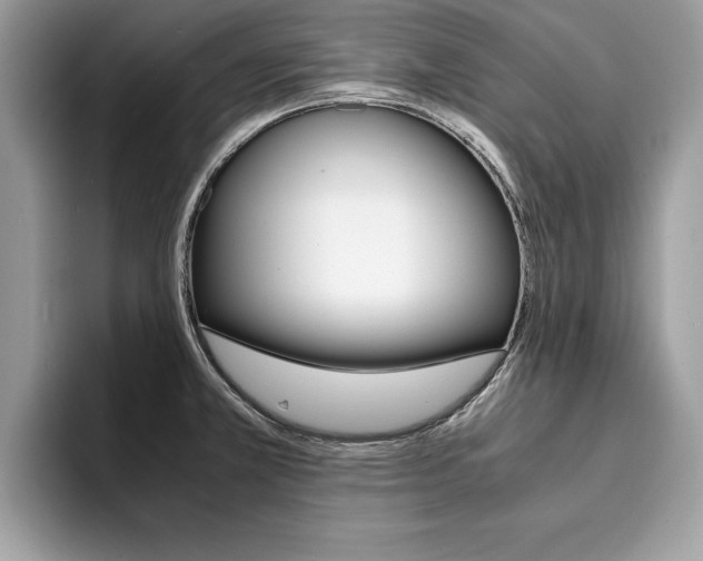 X0000094931381200711290952
