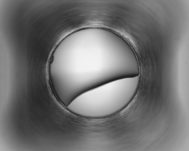 X0000094931382200711290952