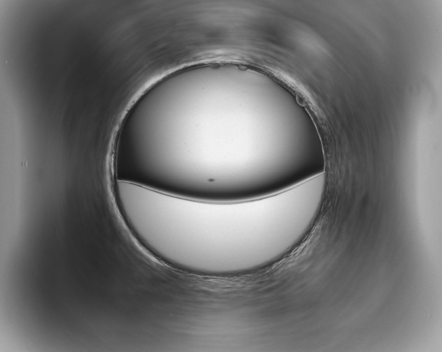 X0000094931383200711290952