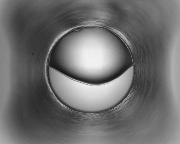 X0000094931387200711290952