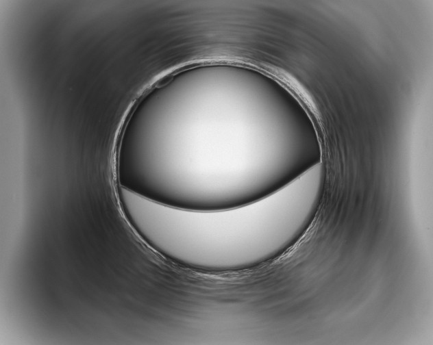 X0000094931388200711290952