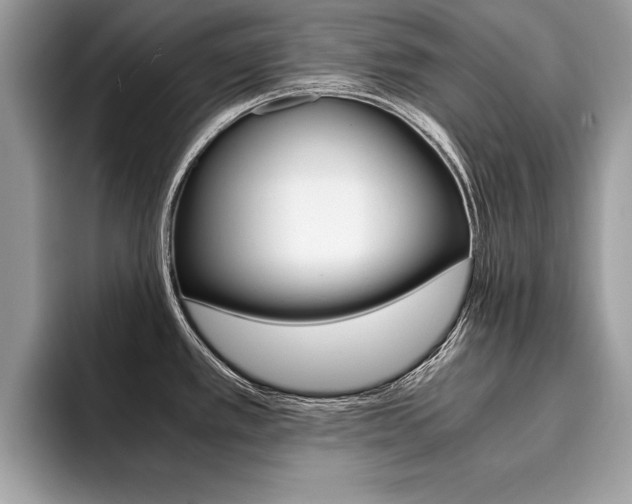 X0000094931389200711290952