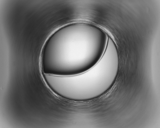 X0000094931391200711290952
