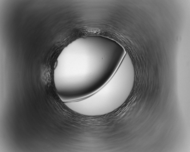 X0000094931394200711290951