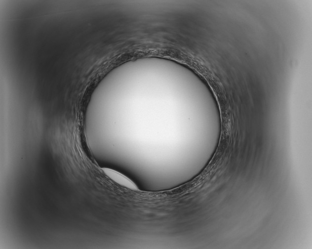 X0000094931397200711290951