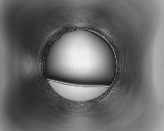 X0000094931398200711290951