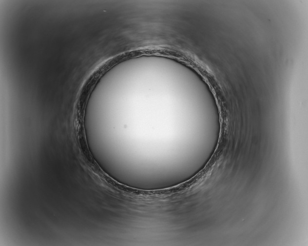 X0000094931400200711290952