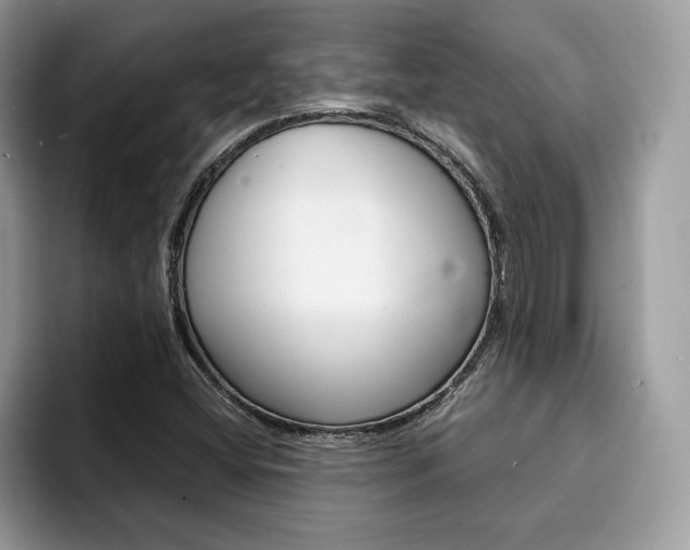 X0000094931404200711290952