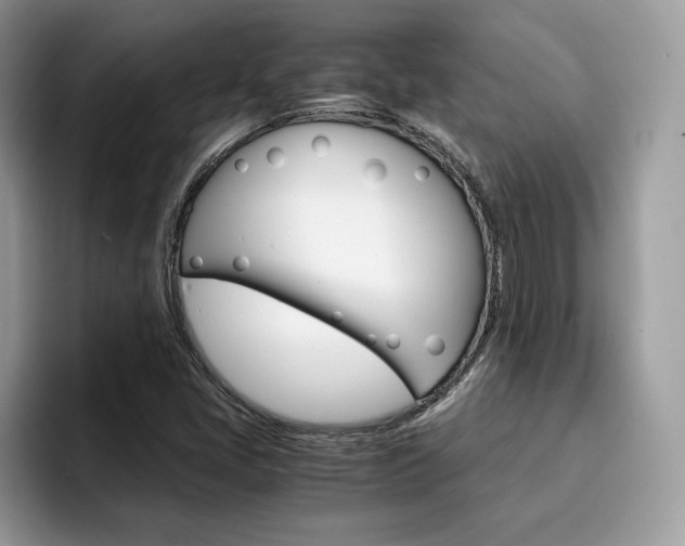 X0000094931405200711290952