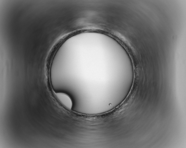 X0000094931408200711290952