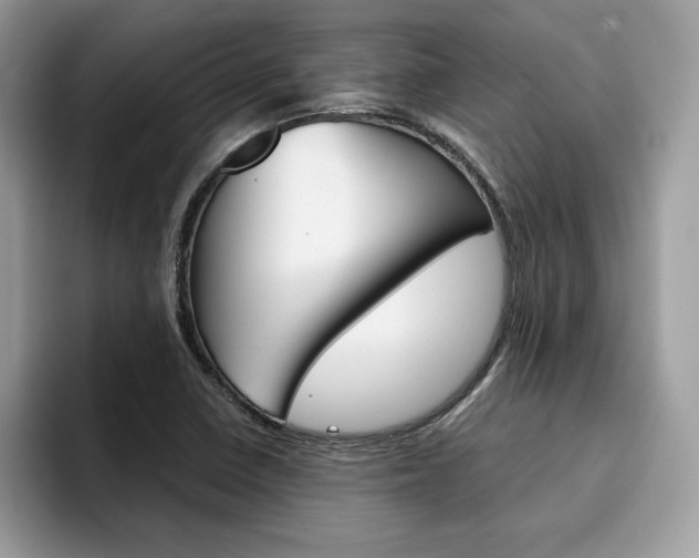 X0000094931410200711290952