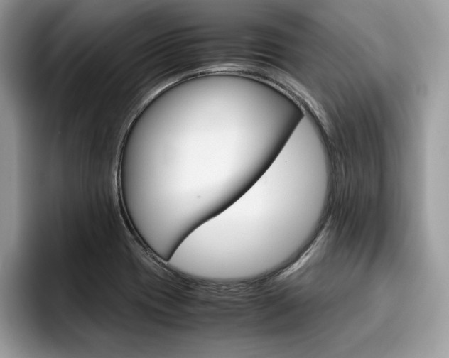 X0000094931417200711290952